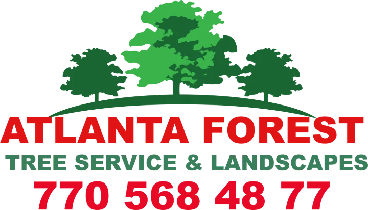 Atlanta Forest Tree Service & Landscapes