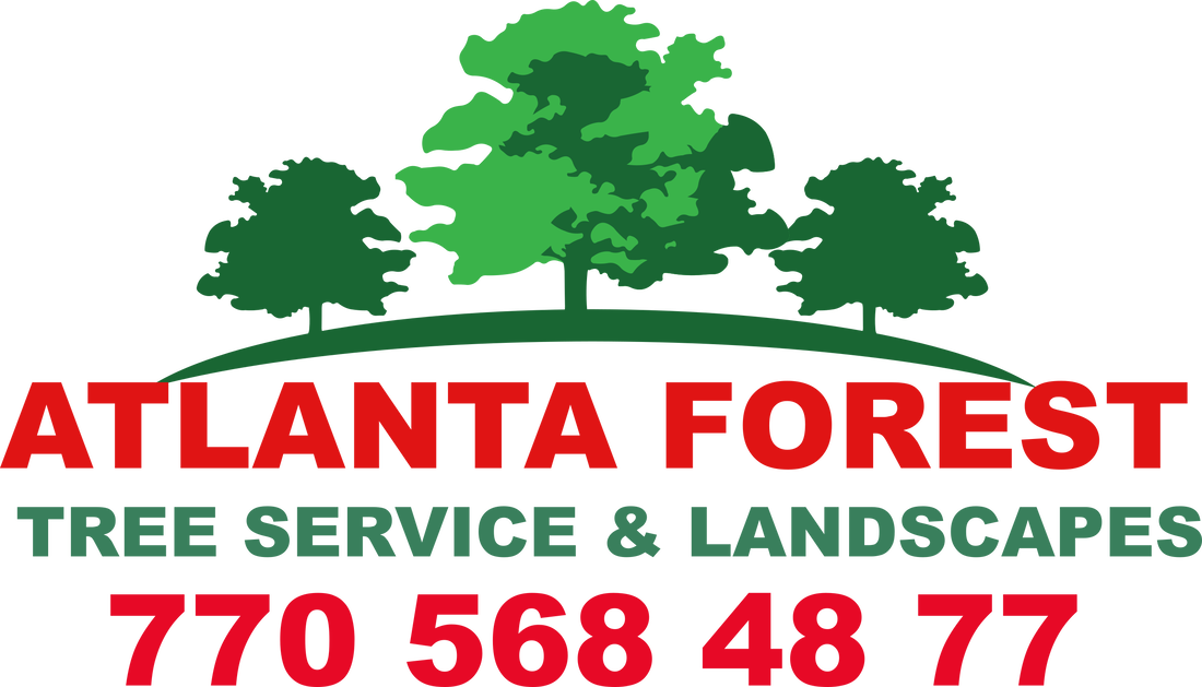 Atlanta Forest Tree Service & Landscapes